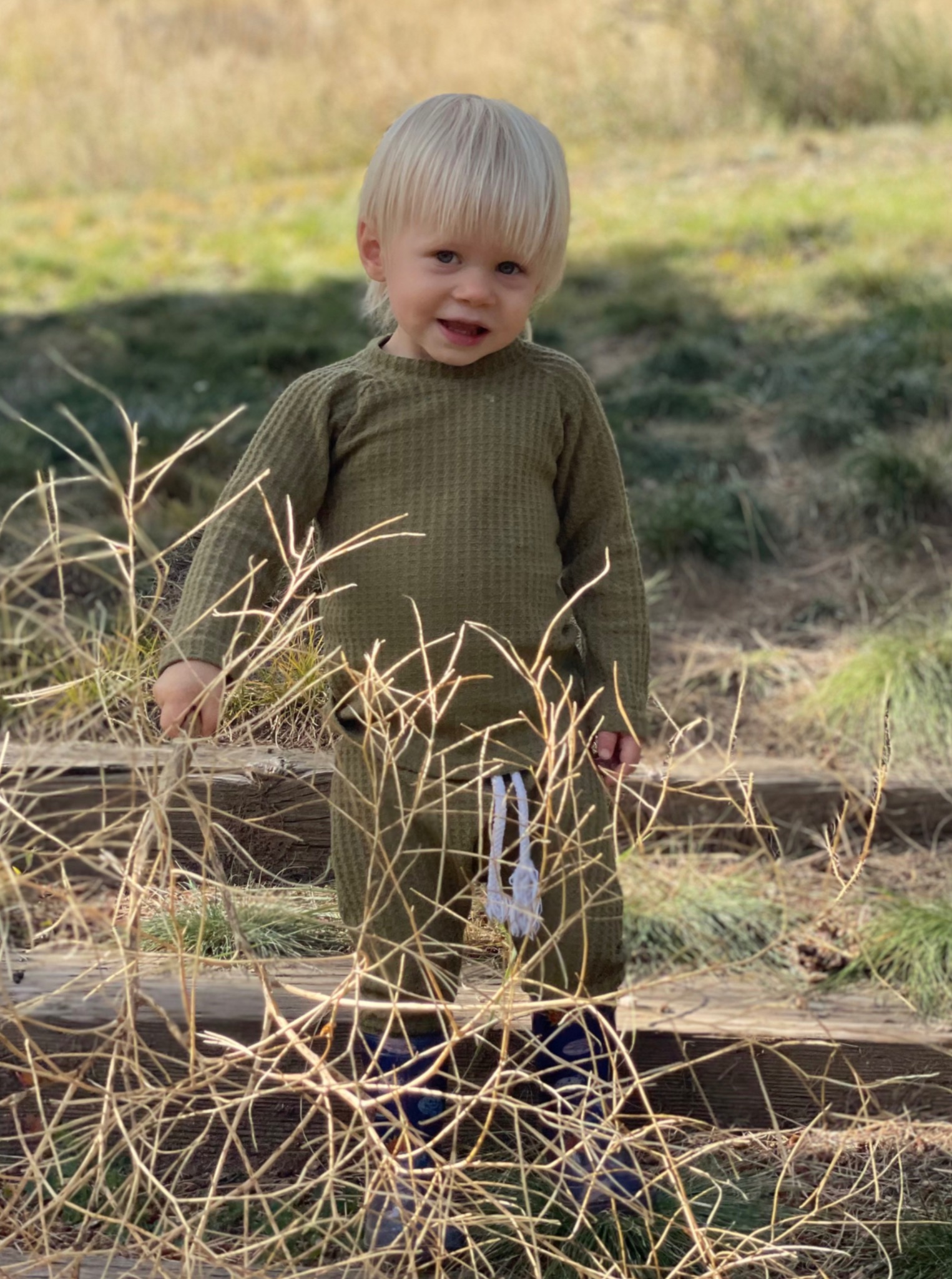 A toddler exploring outdoors among the grasses
